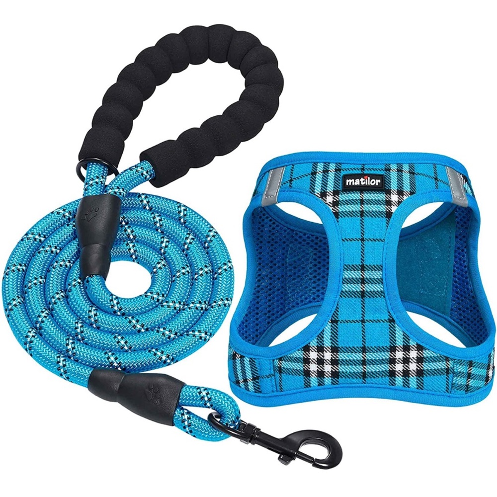 Dog harness and leash size xl